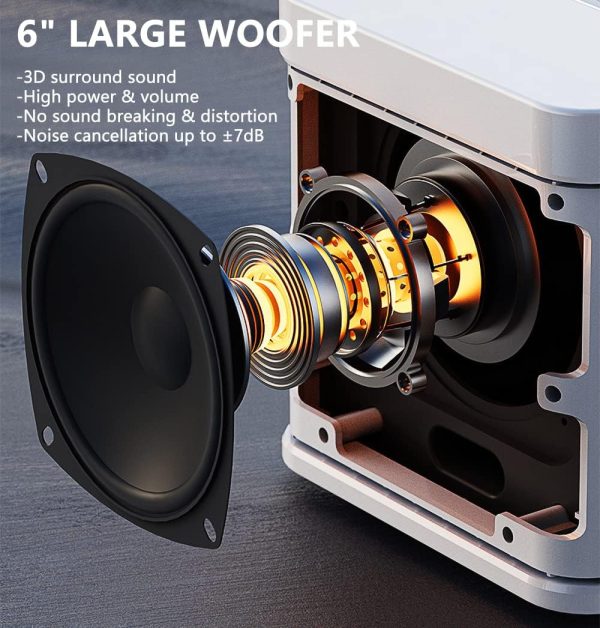 اسپیکر Karaoke Machine with 2 Wireless Microphones for Adults - تصویر 3