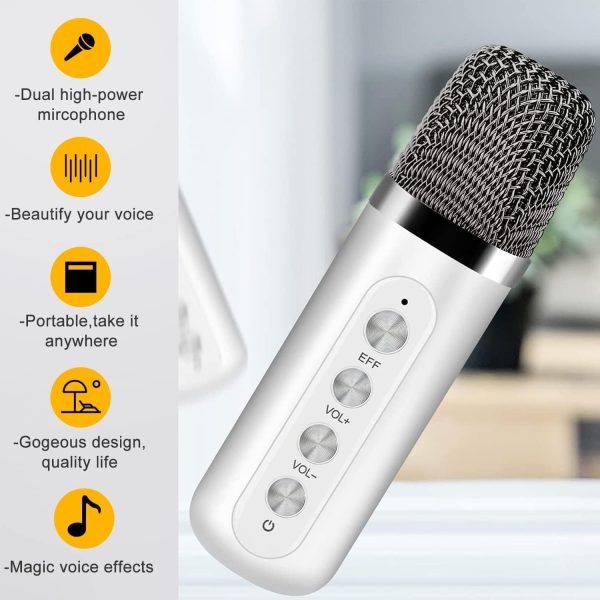 اسپیکر Karaoke Machine with 2 Wireless Microphones for Adults - تصویر 5