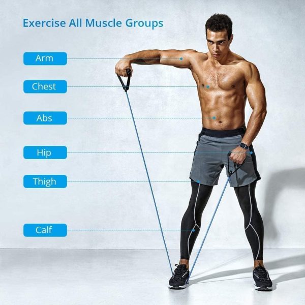 کش ورزشی SKY-TOUCH Portable Exercise 11Pcs Resistance Band Set Stackable Up to 150 Lbs (5 Stackable Exercise Bands with Door Anchor, Ankle Straps Carrying Case) Exercise Stretch Fitness Home Set - تصویر 7