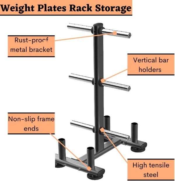وسایل باشگاه خانگی 1441 Fitness Dumbbell Weight Plate Rack Tree Storage Stand with 4 Olympic Standard Bar Holder, Easy Storage and Removal Home Gym Equipment, Weight Capacity - 1000 LBS/453.5 KG - تصویر 5