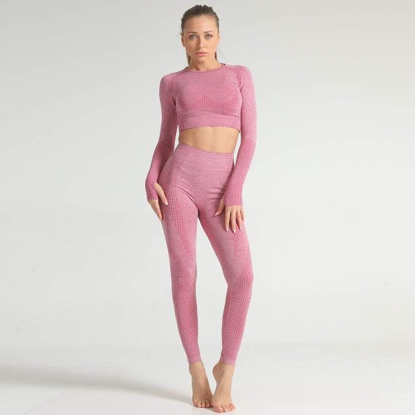 لگ ورزشی زنانه LYDIANZI Women Seamless Yoga Set Fitness Sports Suits Gym Long Sleeve Crop Top Leggings Workout Pants (Color : D, Size : S) - تصویر 4